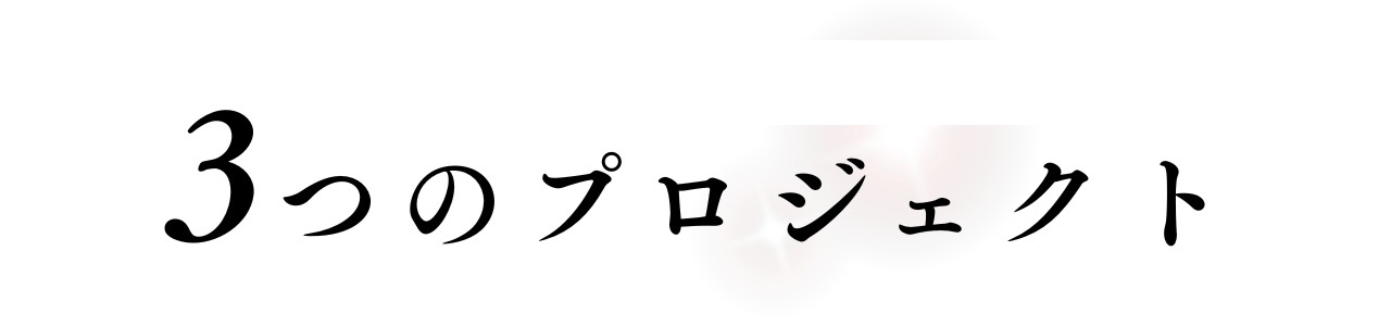 3つのプロジェクト