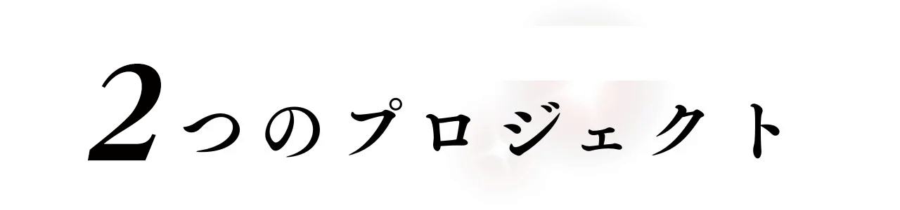2つのプロジェクト